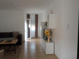 Apartman Sofija