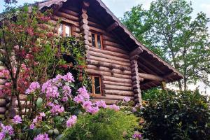 Chalets Chalet des lacs : photos des chambres