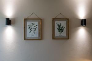 Alojamento Raízes da Montanha RRAL 4596