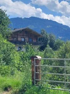 Ferienappartment Hölzl - 蓬高地区圣法伊特