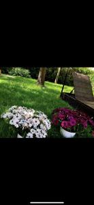 Apartment in Complex Anita B2