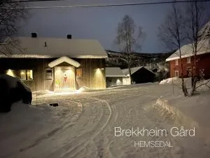 Naturskjønt og sentralt, flott beliggende stor hytte - Fausko