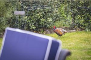 Luxury Lodge with Hot Tub in Windsor Marina