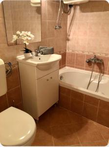 Sunny Buda Apartment