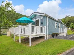 The Dragonfly - Llanarth