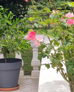 Appartements La Fruitiere : photos des chambres