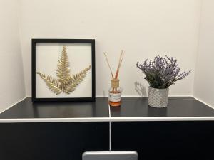 Appartements Centre Ville avec Garage - Parking : photos des chambres