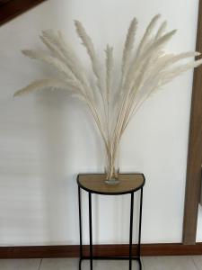 Appartements Centre Ville avec Garage - Parking : photos des chambres