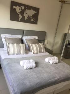 Cannes centre Villa piscine spa