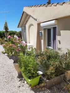 Appartements Appartement Meuble bord de mer FOS SUR MER : photos des chambres