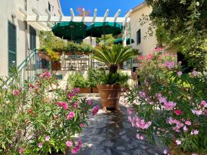 Belvedere Residenza Mediterranea