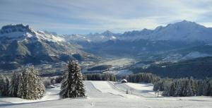 Appartements A Cordon entre Bois et Nature : photos des chambres
