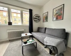 Cozy City Studio with free parking - Hønefoss