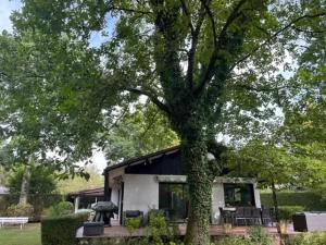 Maisons de vacances Maison de charme a Savigny-sur-Clairis avec piscine et sauna. : photos des chambres