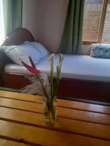 Unique Heritage - Enaboishu