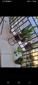 Batumi Apartment Gigi