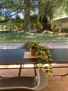 Appartement avec terrasse 3 personnes Via Romana Vaison la Romaine