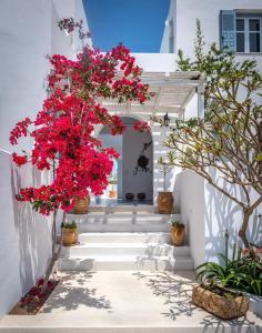 Anita Rooms & Suites Milos