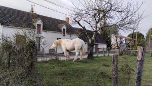 Maison N 1 du Bas Coudreau
