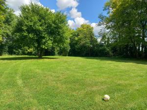 Paris-Reims, 10 personnes, 4 chambres- Spa, Grand jardin privé