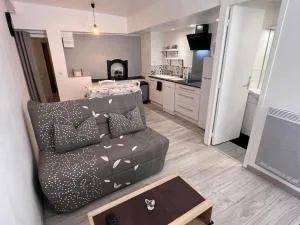 charmant appartement 4 personnes - 泰克河畔阿尔莱