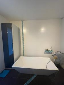 Maisons de vacances Villa avec piscine a Casteljaloux : photos des chambres