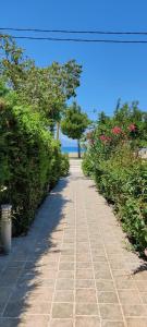 Akrotiri Apartments Pefki Evia