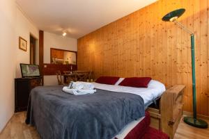 Chamonix SUD - Jonquilles 118 - Happy Rentals