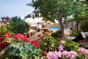 Pool Apartment Bakija 2 - Happy Rentals 