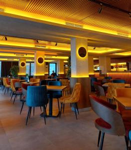 Milmari L39 Kopaonik