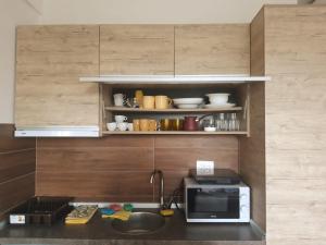 Milmari L39 Kopaonik