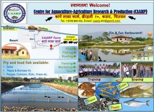 Fish O Farm Guest House