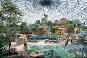 Maisons de vacances Bungalow cosy a Onzain avec piscine partagee : photos des chambres