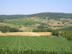 les collines