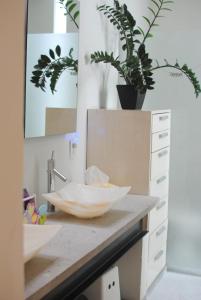 Casa en Cuernavaca para fin de semana