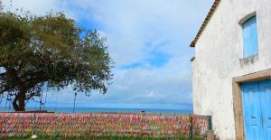 Linda Casa no coração do Centro Histórico