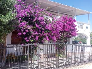 Apartments with parking space Drage, Biograd - 17392