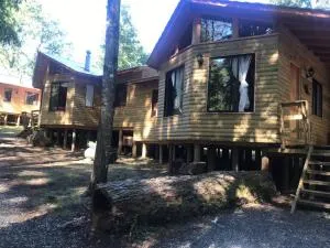 Cabañas viña ojen la niña número 3 - Collentañe