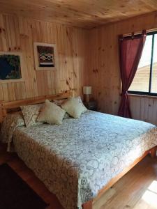 Cabañas viña ojen la niña número 3