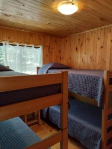 Cabañas viña ojen la niña número 3