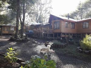 Cabañas viña ojen la niña número 3