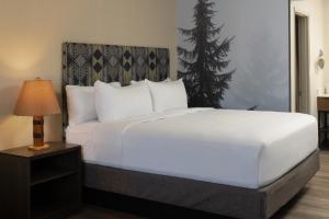 Queen Room - Disability Access room in Red Lion Hotel Port Angeles Harbor