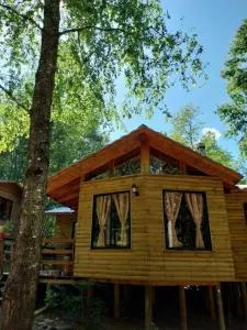 Cabañas villa ojen la pinta número 4 - Collentañe