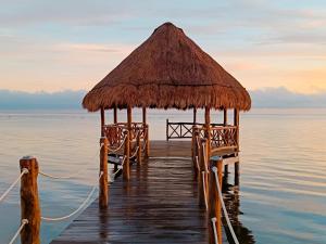 Experiencia Casa Blanca