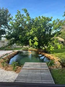 Casa do Lago em Alter do Chão - Óbidos