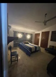 Casa Medusa en Chicxulub - 希克苏鲁伯