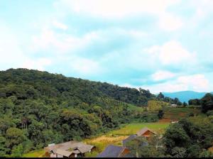 ม่อนหนาวSpecial room