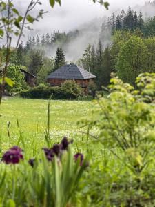 Chalets Magnifique ferme ancienne datant de 1877 : photos des chambres