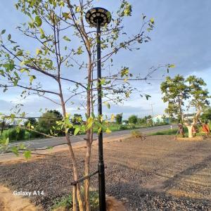 ทุ่งนา กางเต้น