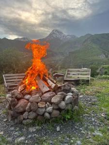 Kuro Kazbegi • ყურო ყაზბეგი